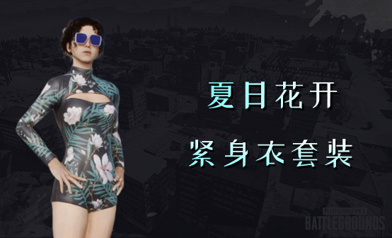 PUBG 绝地求生 夏日花开紧身衣套装CDK